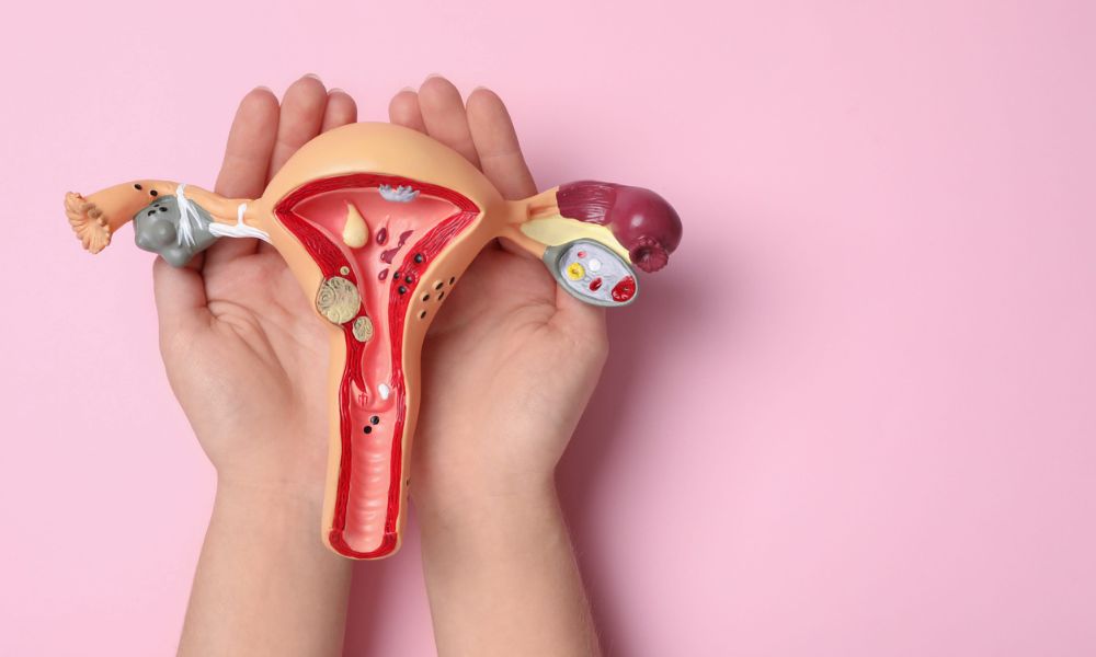 Perimenopauza